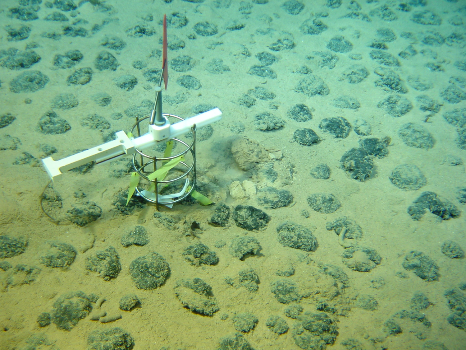 Nodules - Geo-Ocean